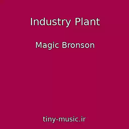 کاور آهنگ Industry Plant از Magic Bronson