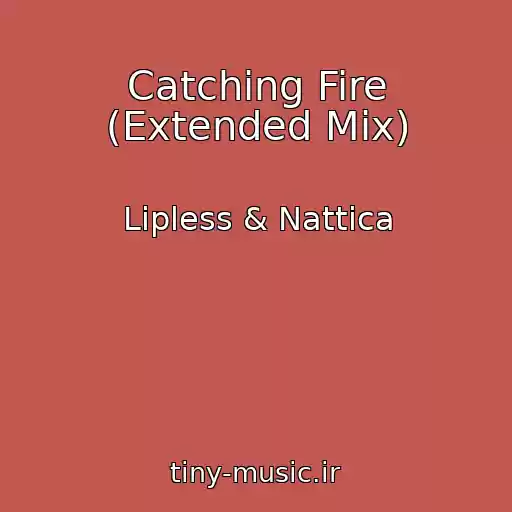 کاور آهنگ Catching Fire (Extended Mix) از Lipless & Nattica