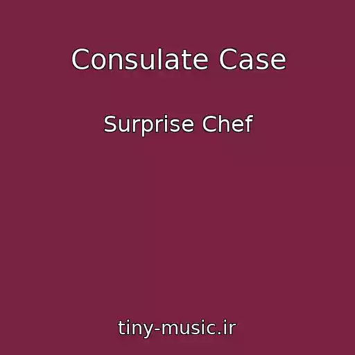 کاور آهنگ Consulate Case از Surprise Chef