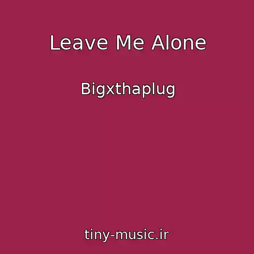 کاور آهنگ Leave Me Alone از Bigxthaplug