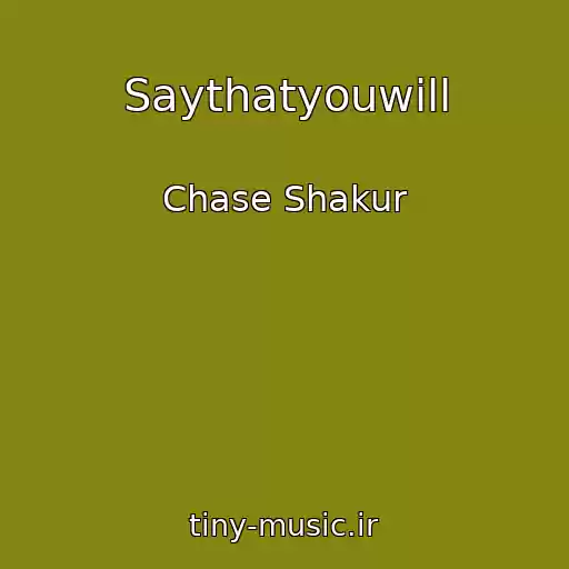 کاور آهنگ Saythatyouwill از Chase Shakur