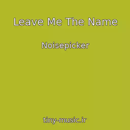 کاور آهنگ Leave Me The Name از Noisepicker