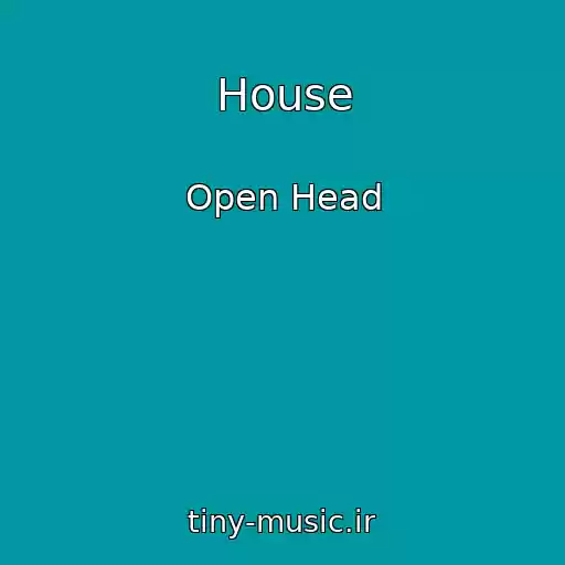 کاور آهنگ House از Open Head