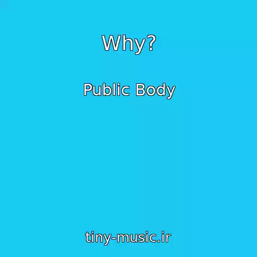 کاور آهنگ Why? از Public Body