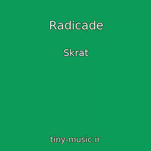 کاور آهنگ Radicade از Skrat