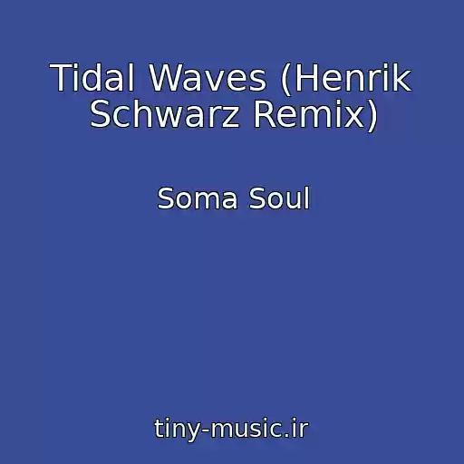 کاور آهنگ Tidal Waves (Henrik Schwarz Remix) از Soma Soul