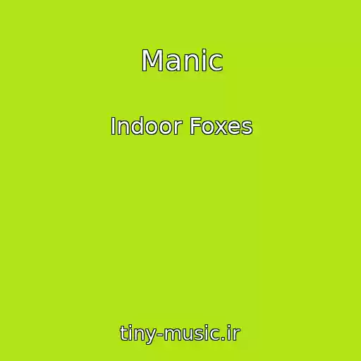 کاور آهنگ Manic از Indoor Foxes