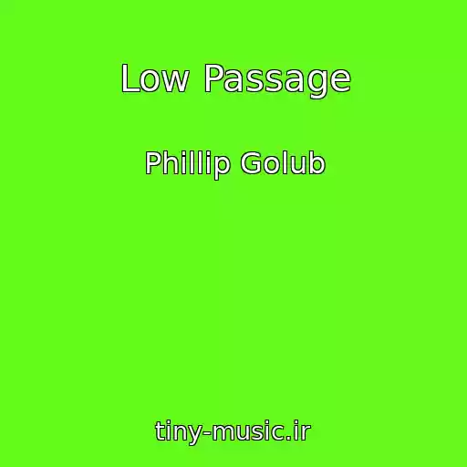 کاور آهنگ Low Passage از Phillip Golub