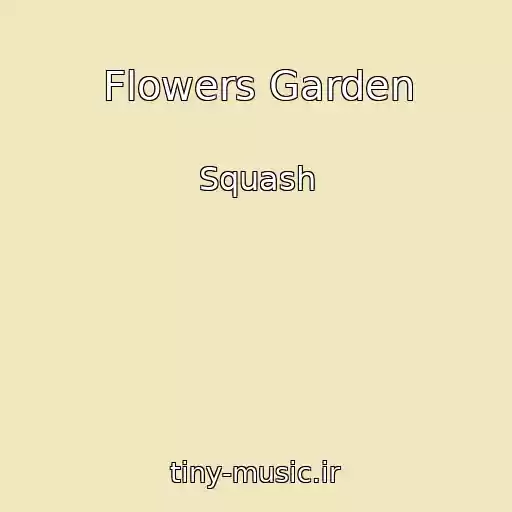 کاور آهنگ Flowers Garden از Squash