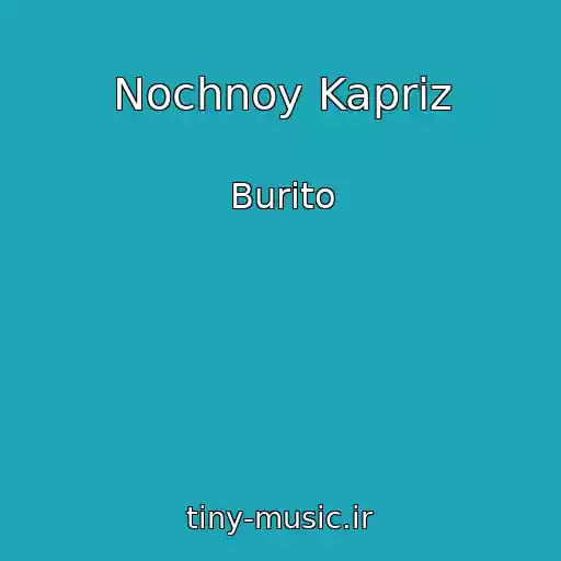 کاور آهنگ Nochnoy Kapriz از Burito