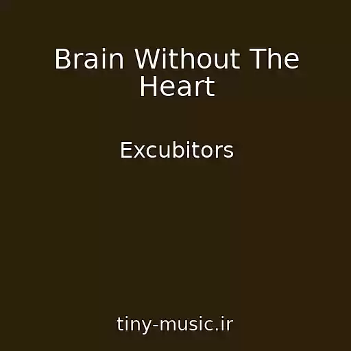 کاور آهنگ Brain Without The Heart از Excubitors