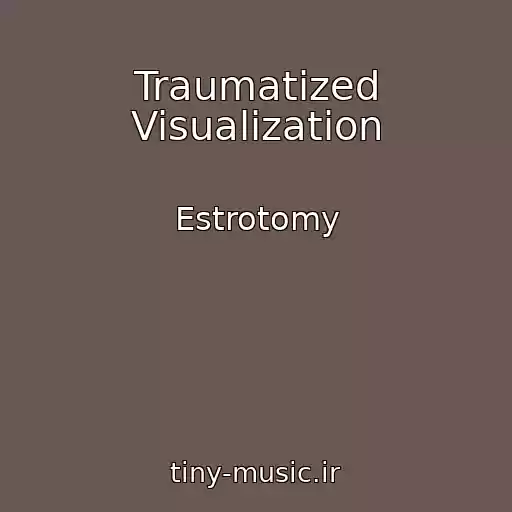 کاور آهنگ Traumatized Visualization از Estrotomy