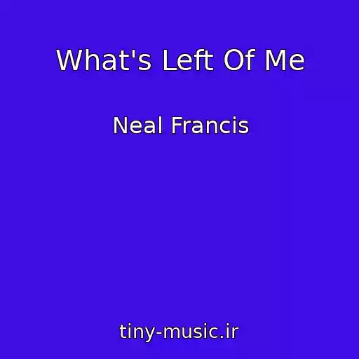 کاور آهنگ What's Left Of Me از Neal Francis