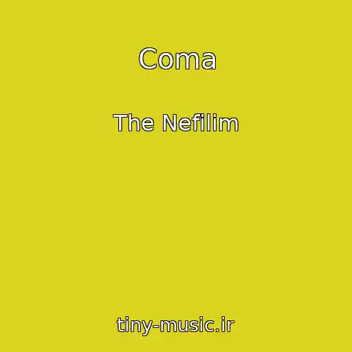 کاور آهنگ Coma از The Nefilim