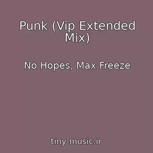 کاور آهنگ Punk (Vip Extended Mix) از No Hopes, Max Freeze