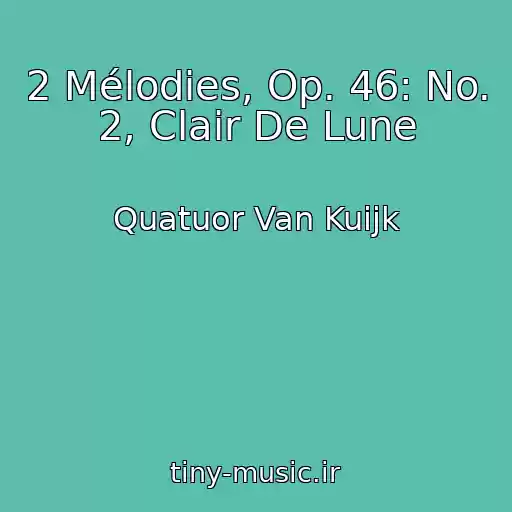 کاور آهنگ 2 Mélodies, Op. 46: No. 2, Clair De Lune از Quatuor Van Kuijk