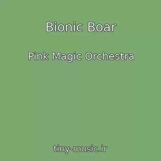 کاور آهنگ Bionic Boar از Pink Magic Orchestra