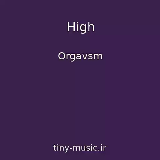 کاور آهنگ High از Orgavsm