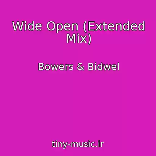 کاور آهنگ Wide Open (Extended Mix) از Bowers & Bidwel