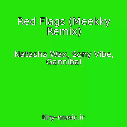 کاور آهنگ Red Flags (Meekky Remix) از Natasha Wax, Sony Vibe, Gannibal