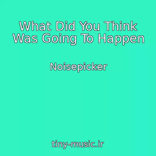 کاور آهنگ What Did You Think Was Going To Happen از Noisepicker