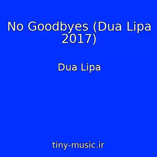 کاور آهنگ No Goodbyes (Dua Lipa 2017) از Dua Lipa