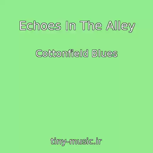 کاور آهنگ Echoes In The Alley از Cottonfield Blues