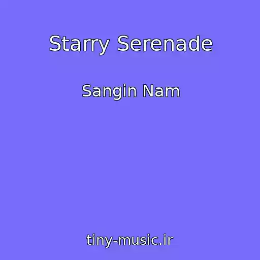 کاور آهنگ Starry Serenade از Sangin Nam