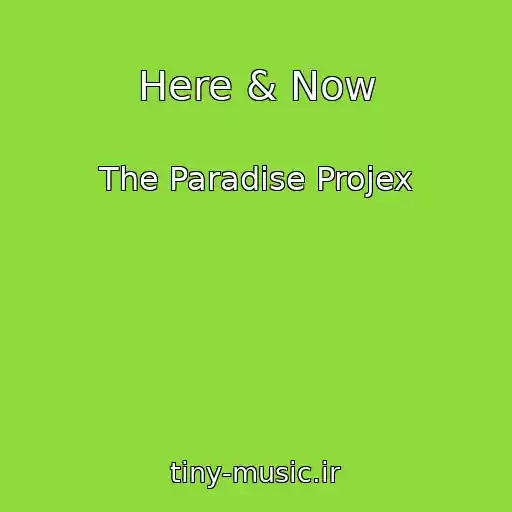 کاور آهنگ Here & Now از The Paradise Projex
