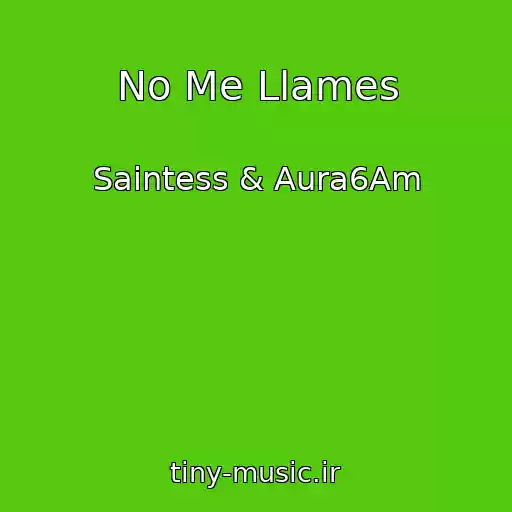 کاور آهنگ No Me Llames از Saintess & Aura6Am