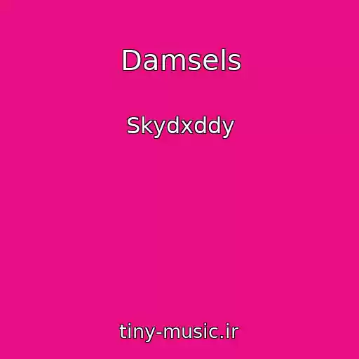 کاور آهنگ Damsels از Skydxddy