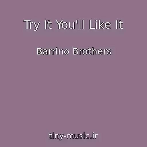 کاور آهنگ Try It You'll Like It از Barrino Brothers