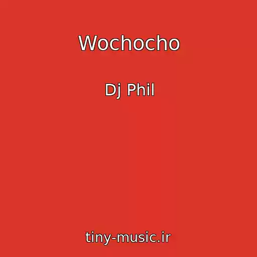 کاور آهنگ Wochocho از Dj Phil