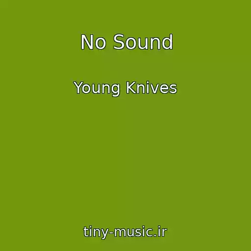 کاور آهنگ No Sound از Young Knives