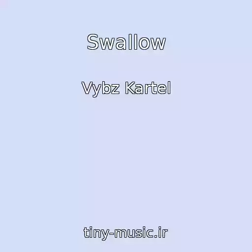 کاور آهنگ Swallow از Vybz Kartel