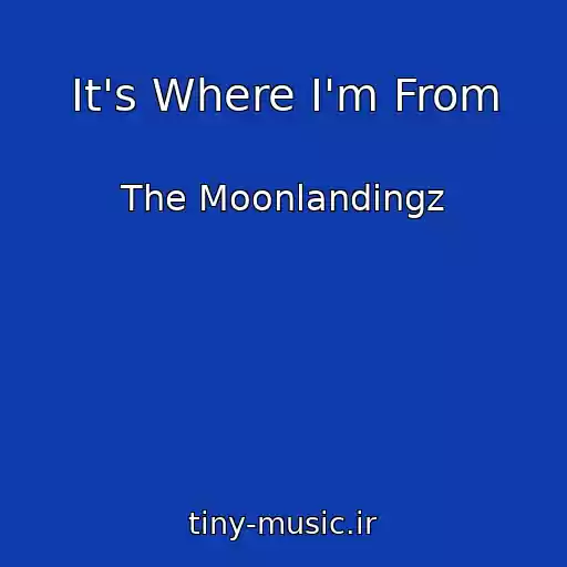 کاور آهنگ It's Where I'm From از The Moonlandingz