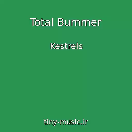 کاور آهنگ Total Bummer از Kestrels