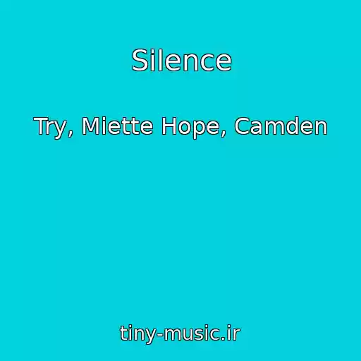 کاور آهنگ Silence از Try, Miette Hope, Camden