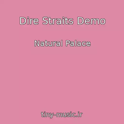 کاور آهنگ Dire Straits Demo از Natural Palace