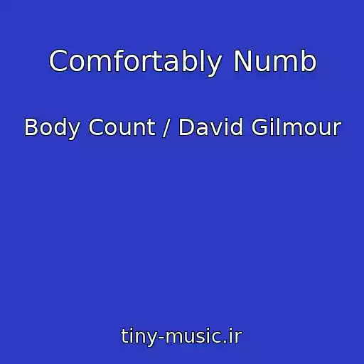 کاور آهنگ Comfortably Numb از Body Count / David Gilmour