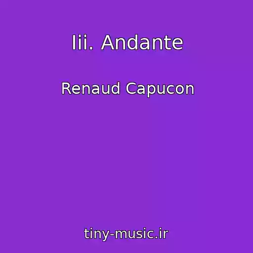 کاور آهنگ Iii. Andante از Renaud Capucon