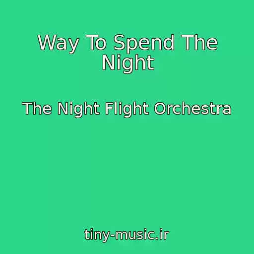 کاور آهنگ Way To Spend The Night از The Night Flight Orchestra