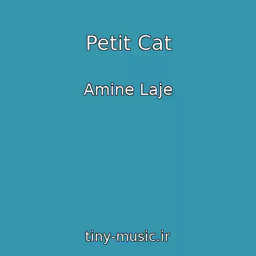 کاور آهنگ Petit Cat از Amine Laje
