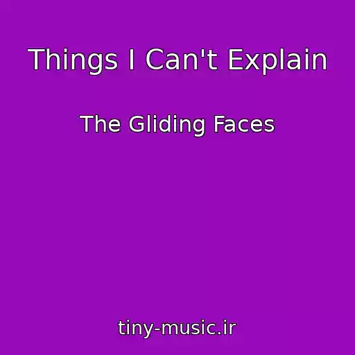 کاور آهنگ Things I Can't Explain از The Gliding Faces