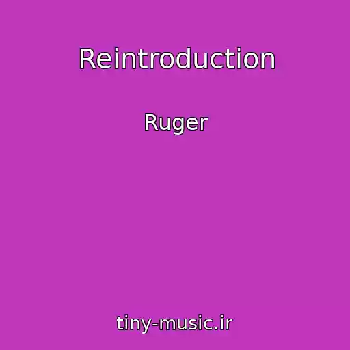 کاور آهنگ Reintroduction از Ruger