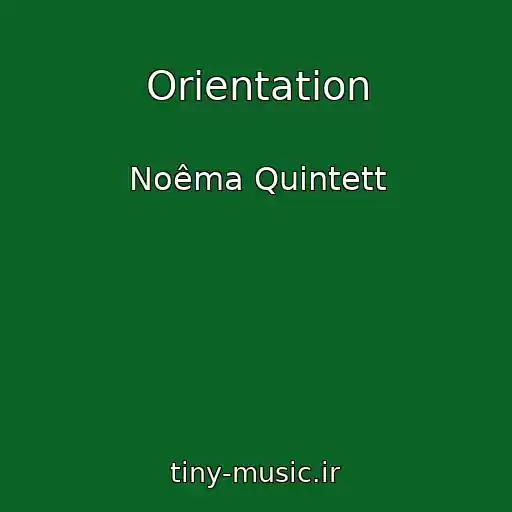 کاور آهنگ Orientation از Noêma Quintett