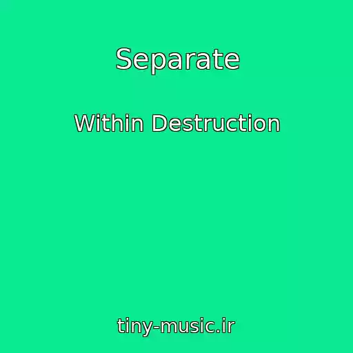 کاور آهنگ Separate از Within Destruction