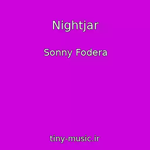 کاور آهنگ Nightjar از Sonny Fodera