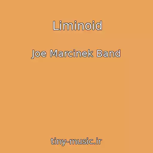 کاور آهنگ Liminoid از Joe Marcinek Band