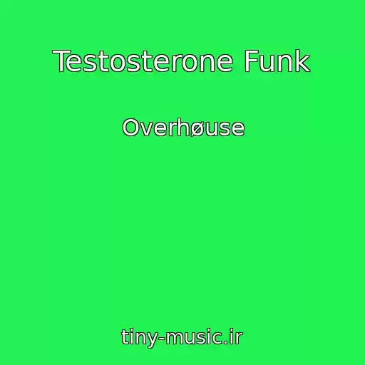 کاور آهنگ Testosterone Funk از Overhøuse
